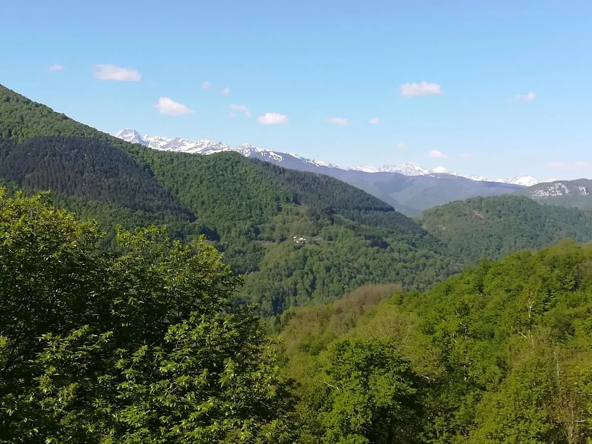 Les Gites Des Pics Riverenert 0*,  France