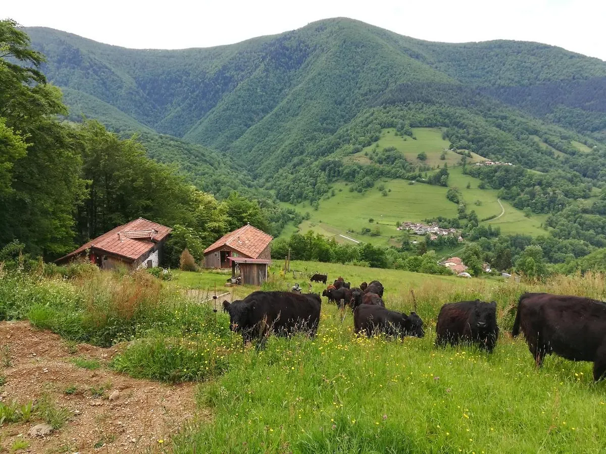 Chalet Les Gites Des Pics Riverenert France